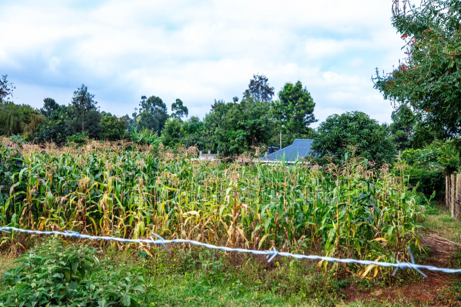 Prime Commercial Serviced Plots For Sale In Kikuyu, Gikambura in Kikuyu