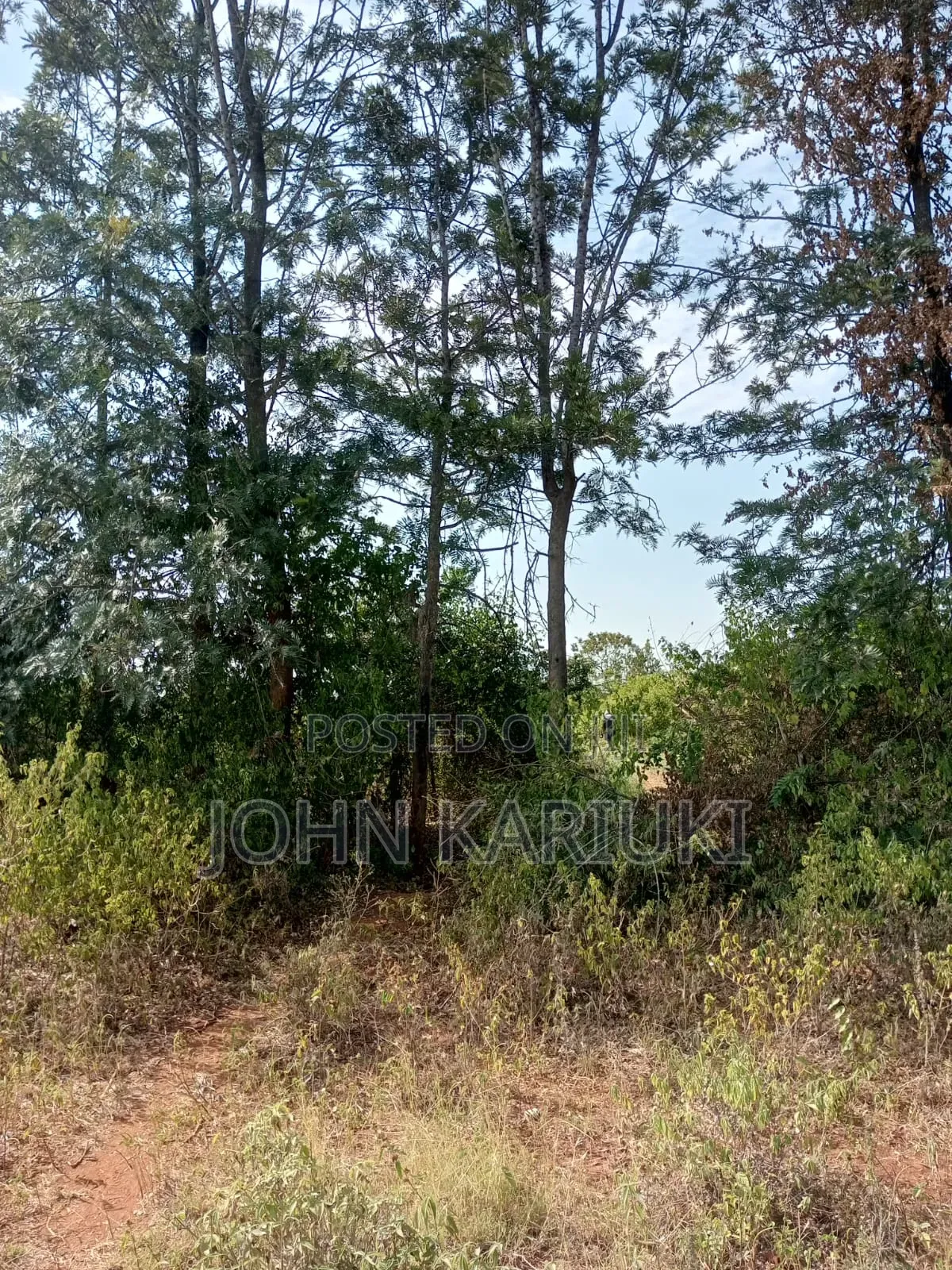 40 Acres of Land on Sale in Makuyu Manaja in Makuyu