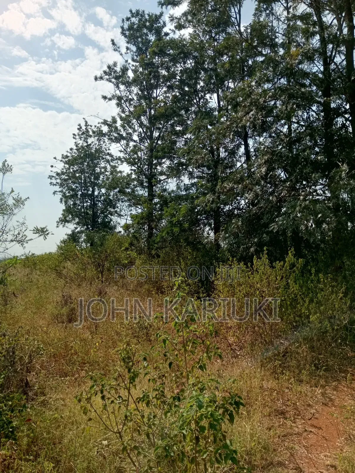40 Acres of Land on Sale in Makuyu Manaja in Makuyu