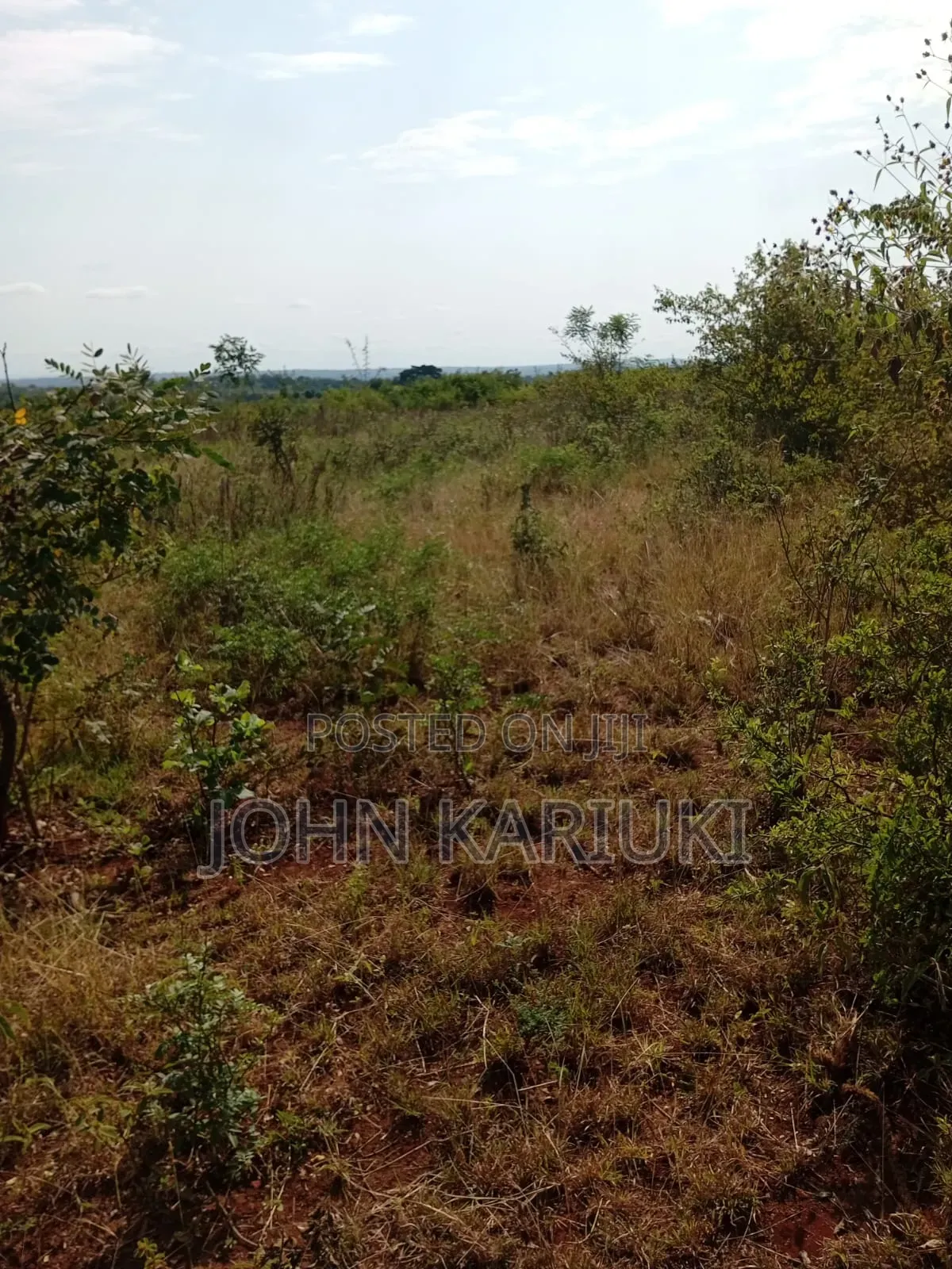 40 Acres of Land on Sale in Makuyu Manaja in Makuyu