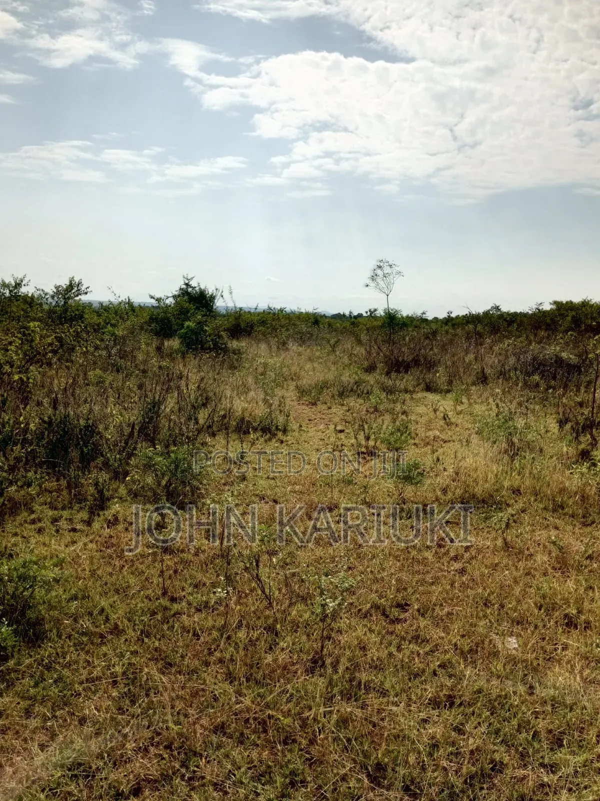 40 Acres of Land on Sale in Makuyu Manaja in Makuyu