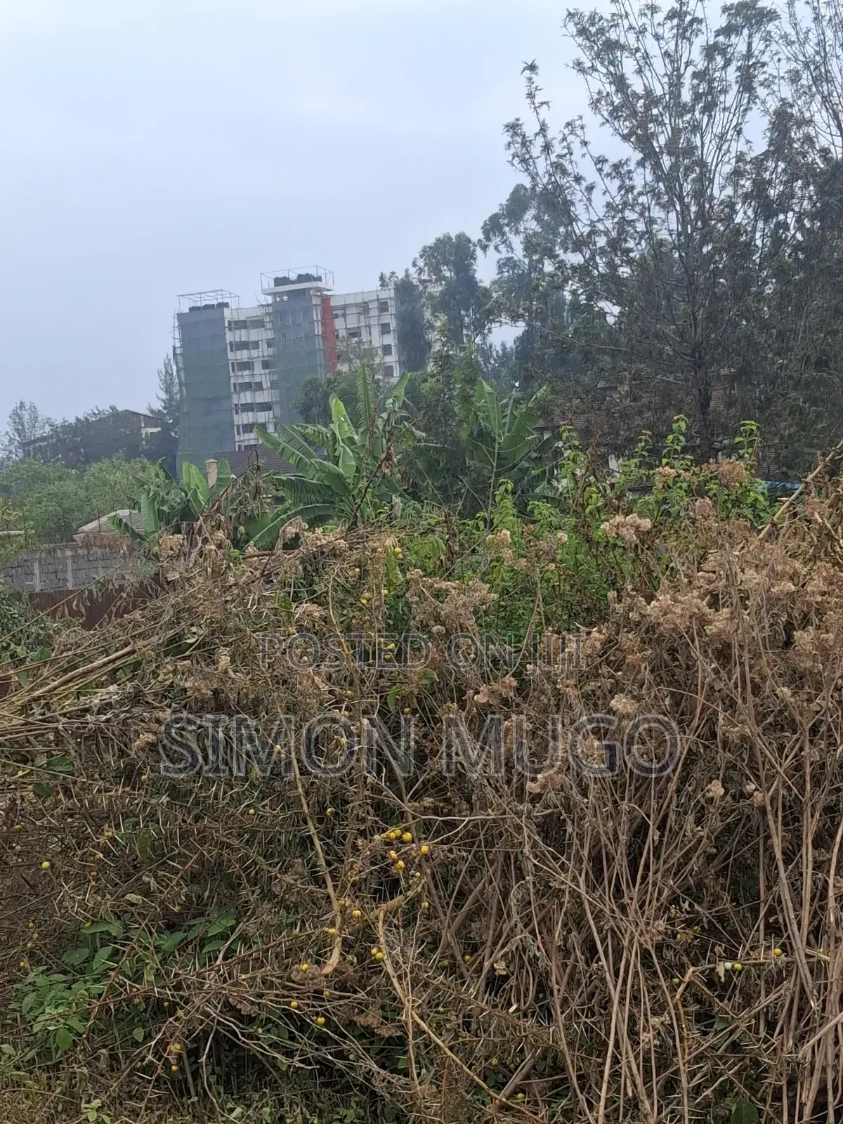 Safari Park Thika Road Prime 1/2 Acre Behind APLUS MOTORS Quick Sale in Thome