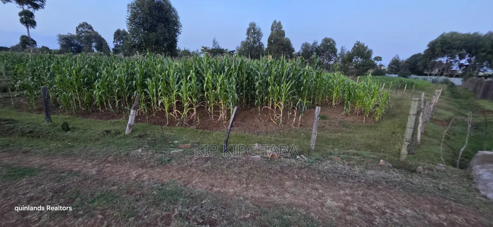 Full Plot Gor Sake in Sogomo Mti Moja Near Kuinet Junior in Eldoret in Kimumu