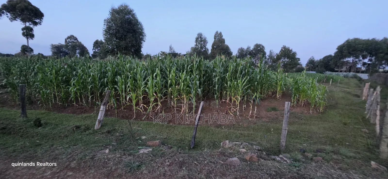 Full Plot Gor Sake in Sogomo Mti Moja Near Kuinet Junior in Eldoret in Kimumu