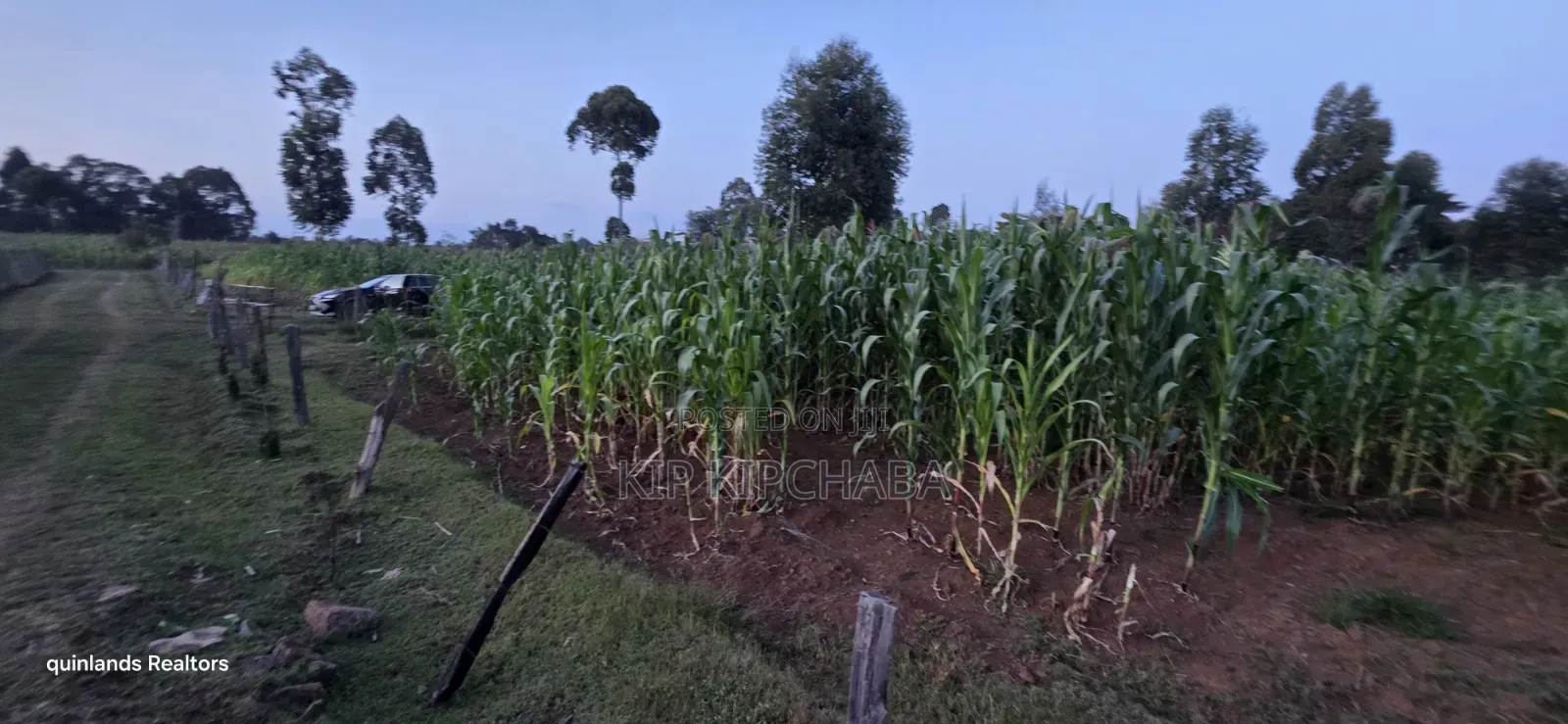 Full Plot Gor Sake in Sogomo Mti Moja Near Kuinet Junior in Eldoret in Kimumu