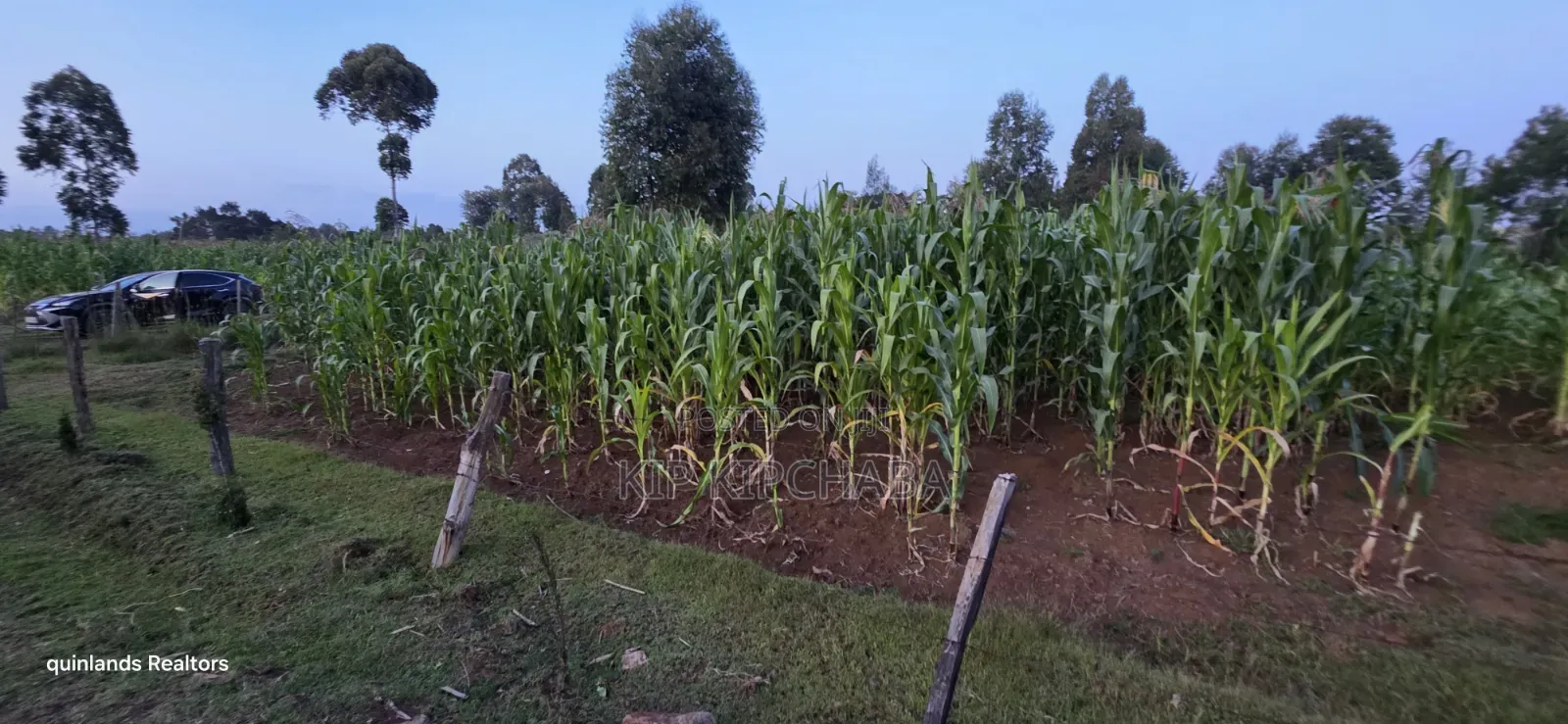 Full Plot Gor Sake in Sogomo Mti Moja Near Kuinet Junior in Eldoret in Kimumu