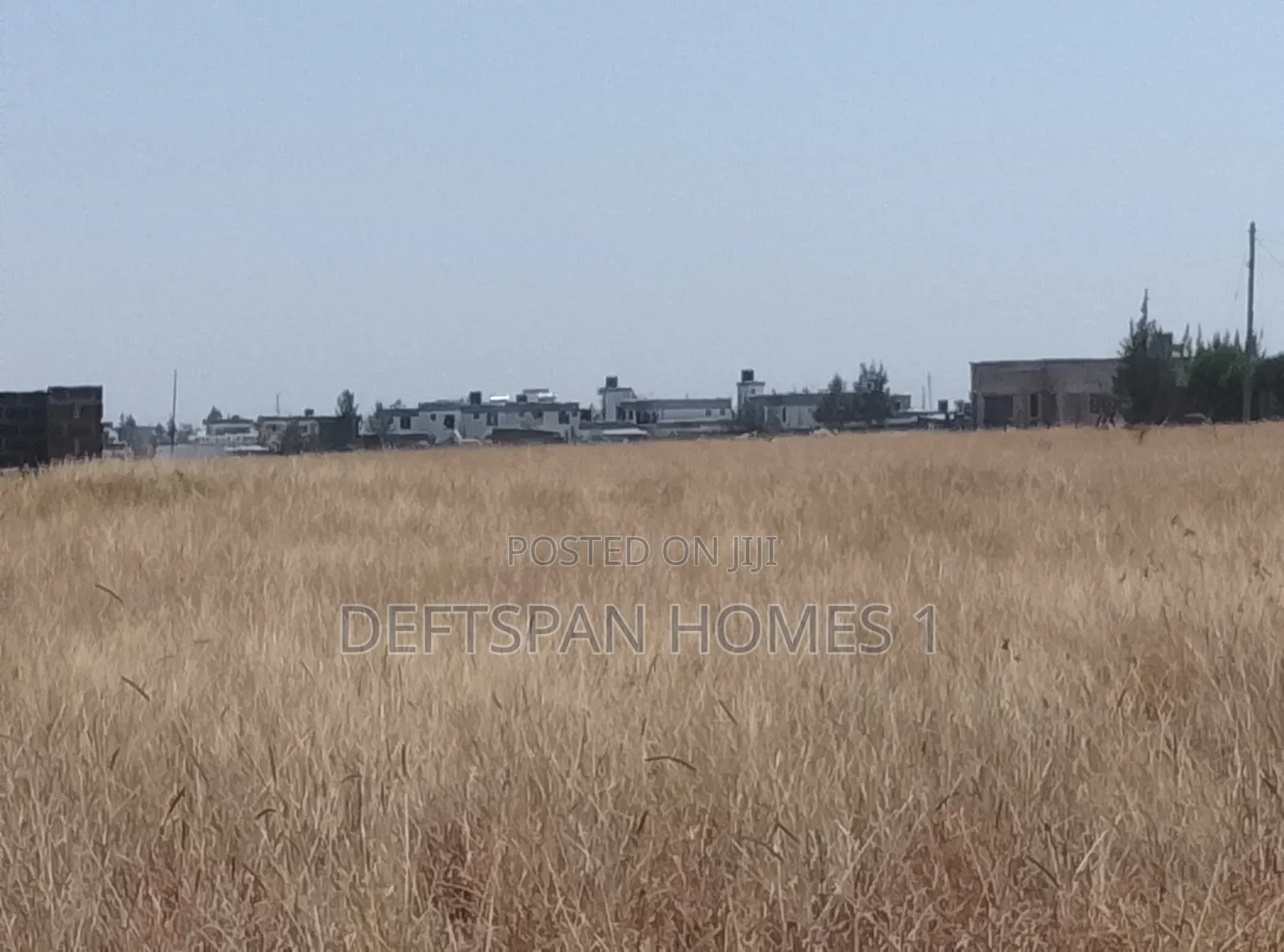 100 by 100 Plot Selling at Kantafu Triple M in Kangundo North