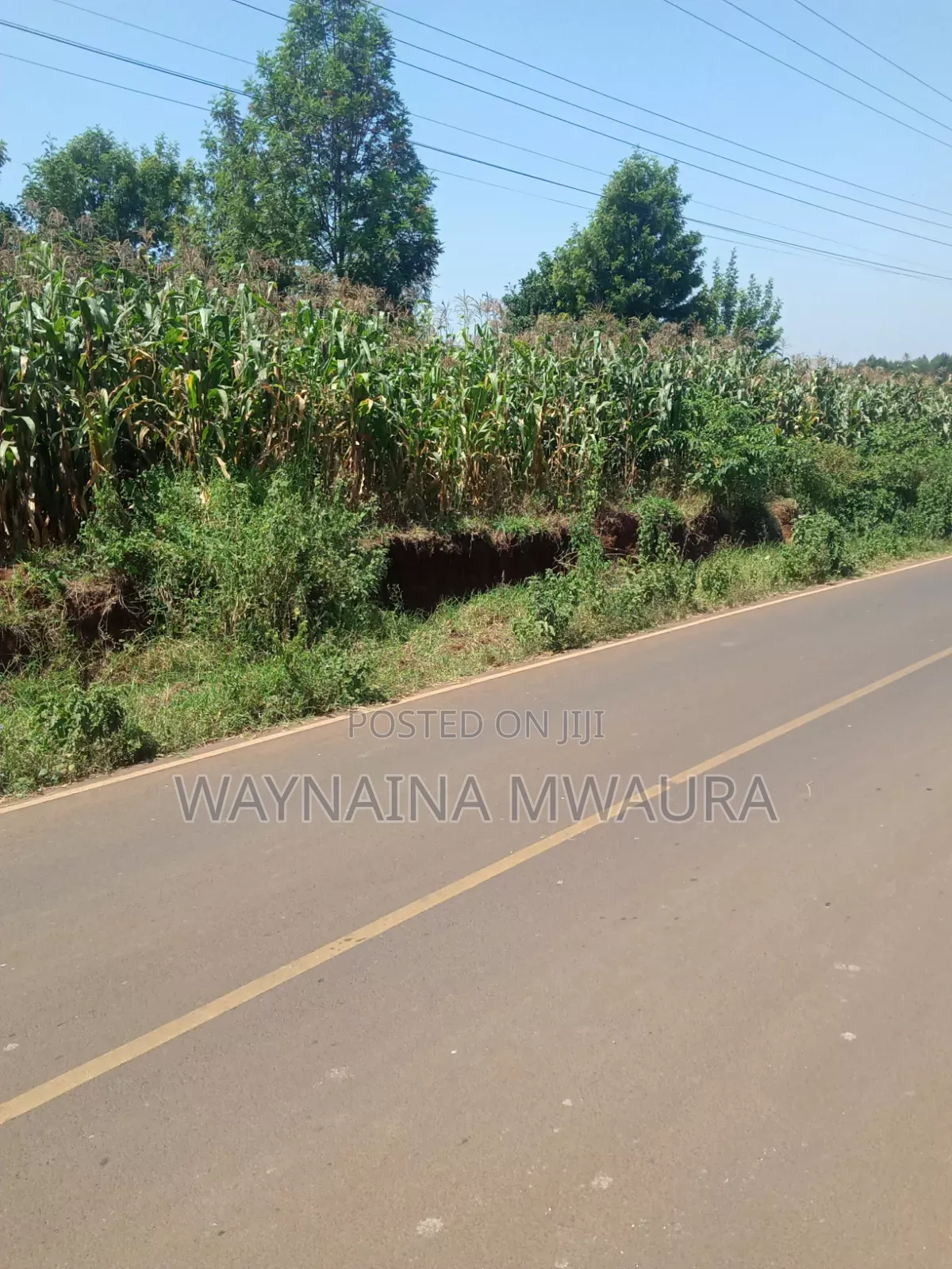 DISTRESS SALE: 1/4 Acre Kanyanjara Kerwa. Touching Tarmack! in Zambezi/Sigona