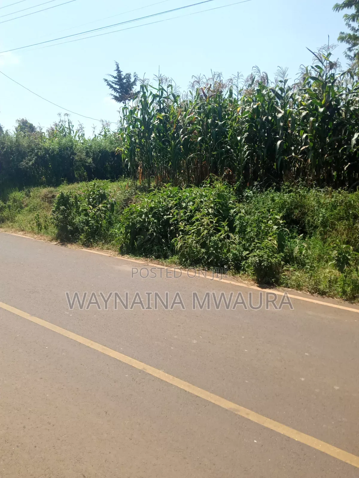 DISTRESS SALE: 1/4 Acre Kanyanjara Kerwa. Touching Tarmack! in Zambezi/Sigona