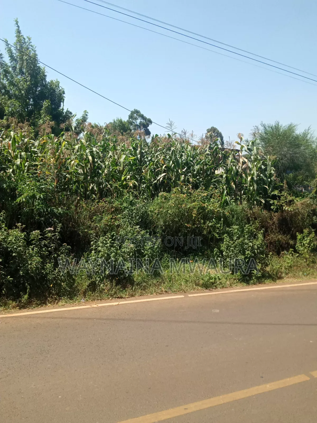 DISTRESS SALE: 1/4 Acre Kanyanjara Kerwa. Touching Tarmack! in Zambezi/Sigona