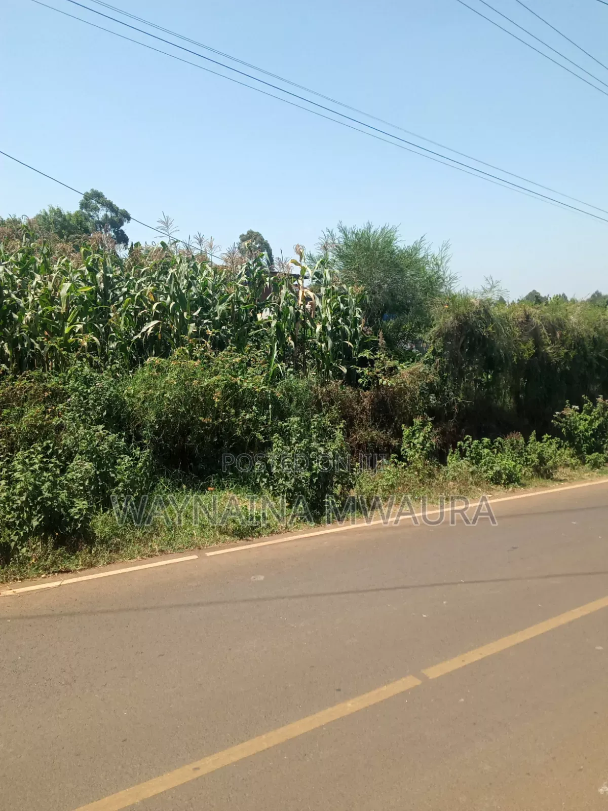 DISTRESS SALE: 1/4 Acre Kanyanjara Kerwa. Touching Tarmack! in Zambezi/Sigona