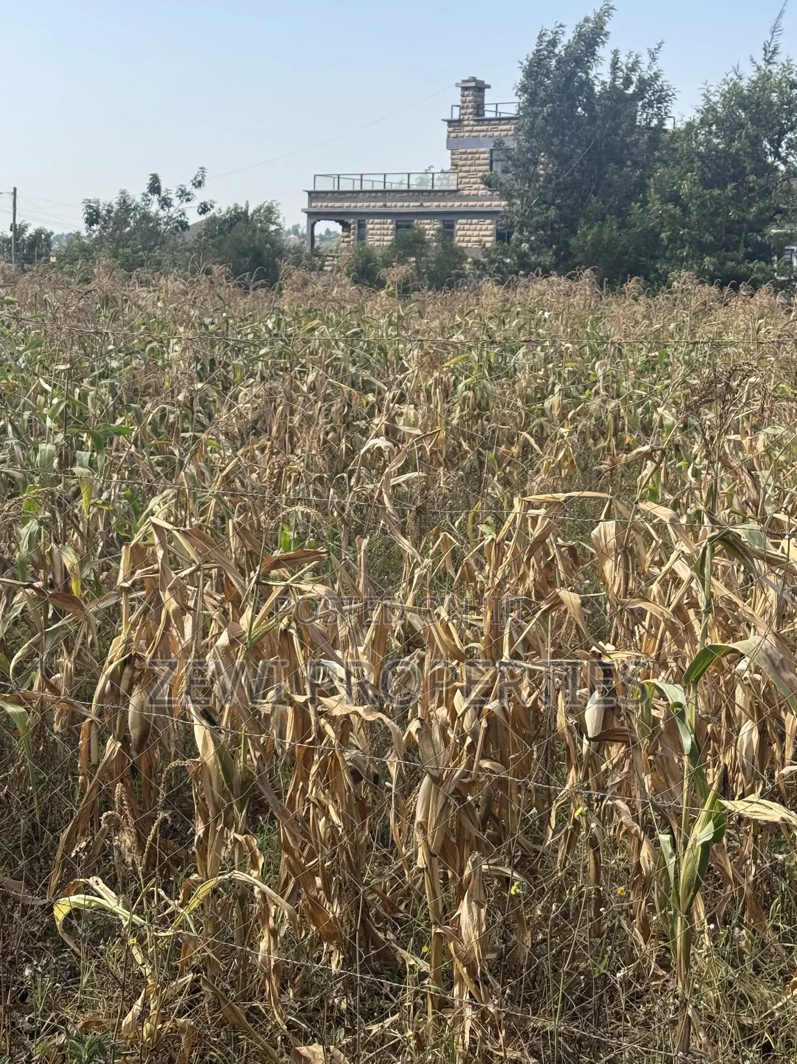 One Acre Chavara in Kibiku