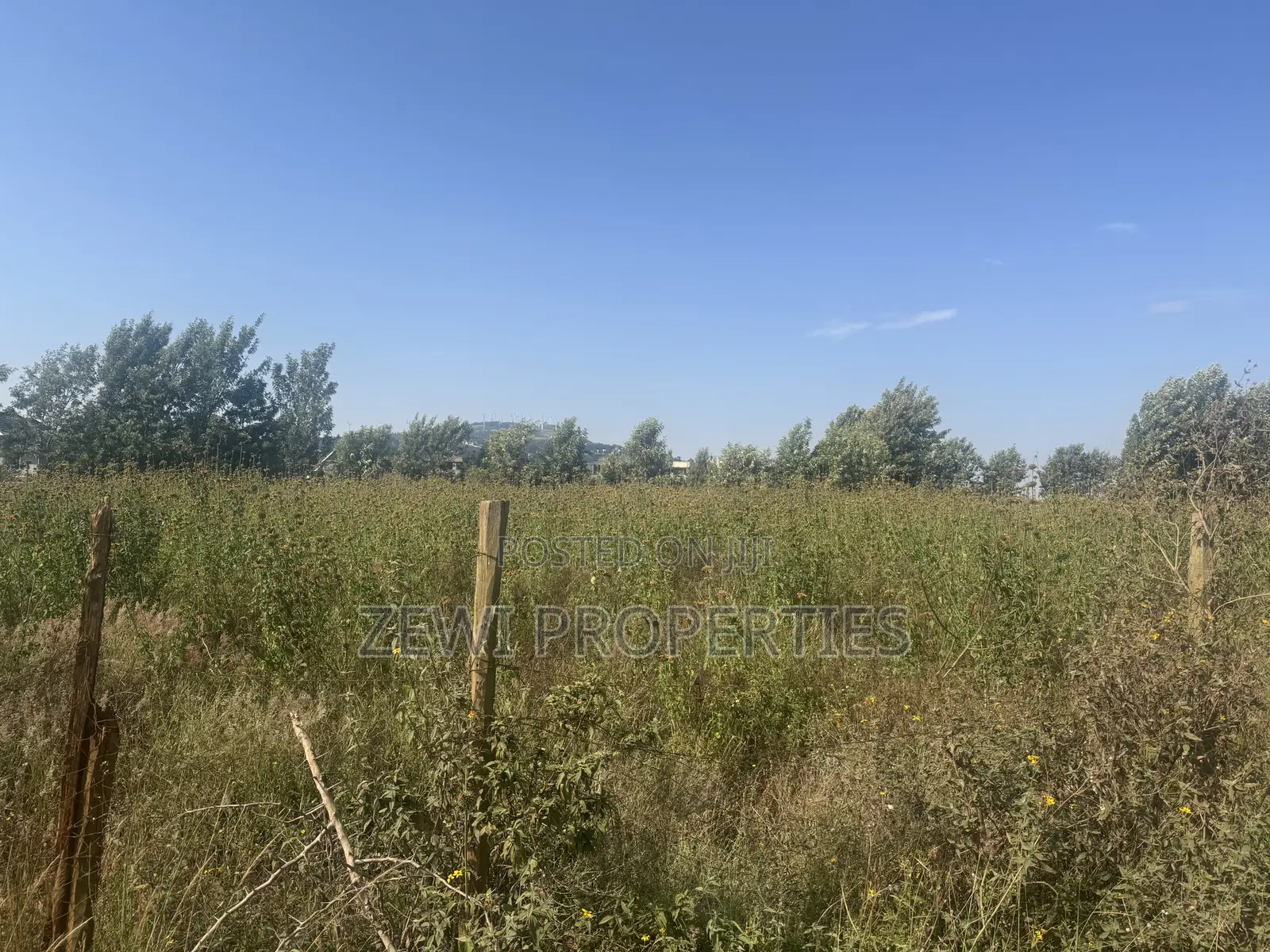 One Acre Chavara in Kibiku