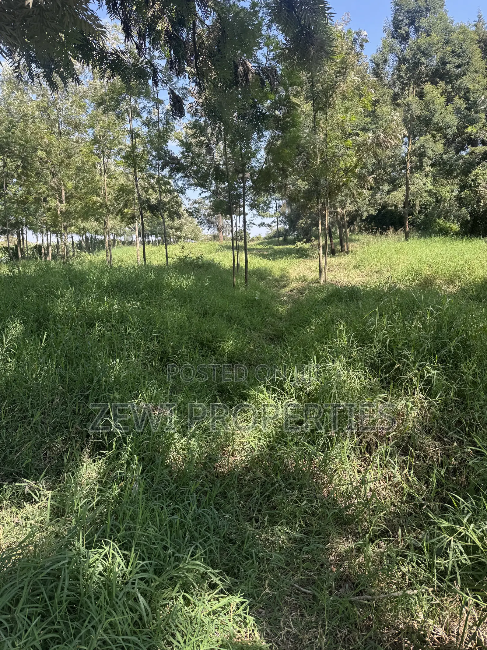 One Acre KIBIT in Kibiku