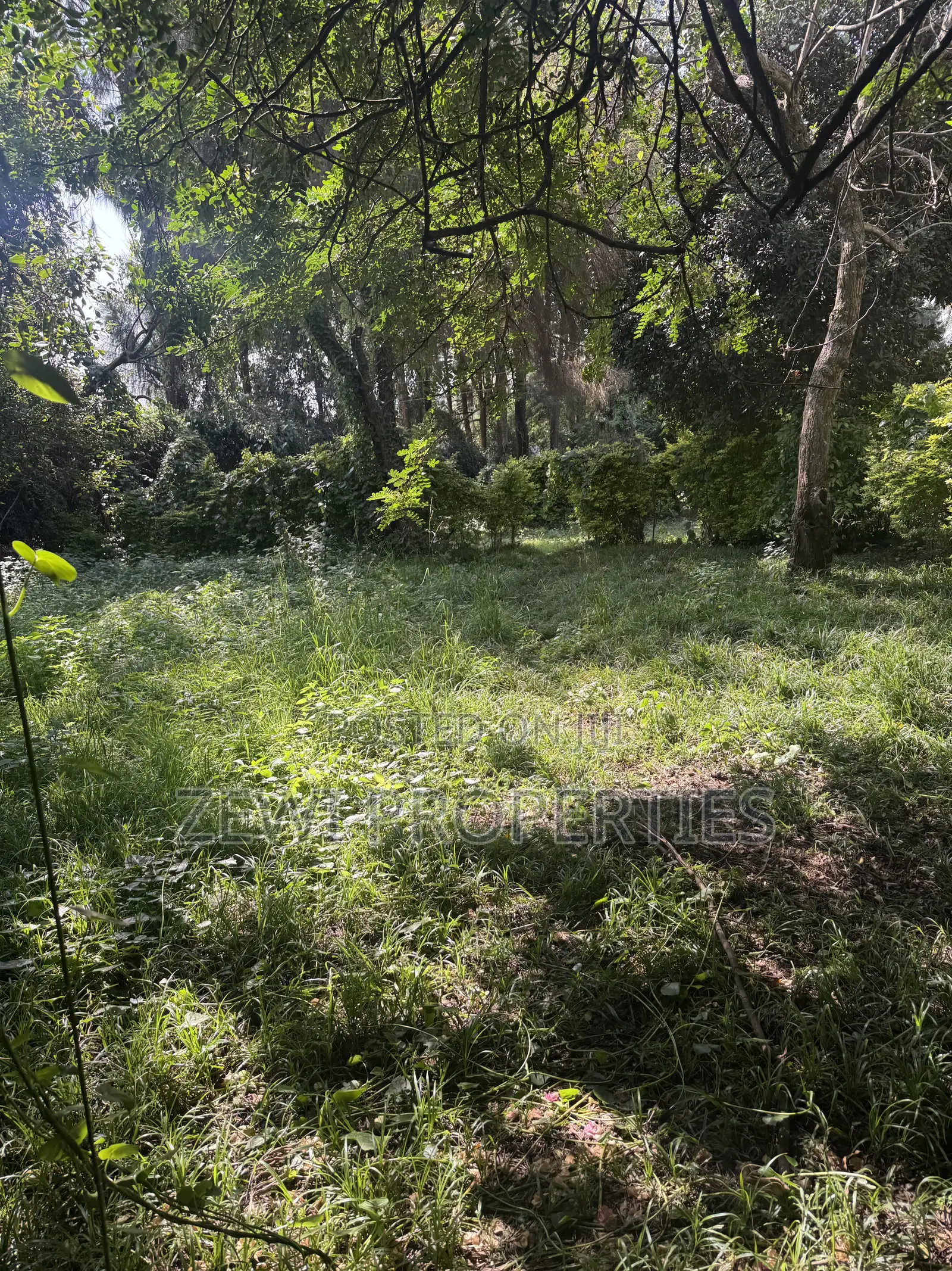 One Acre KIBIT in Kibiku