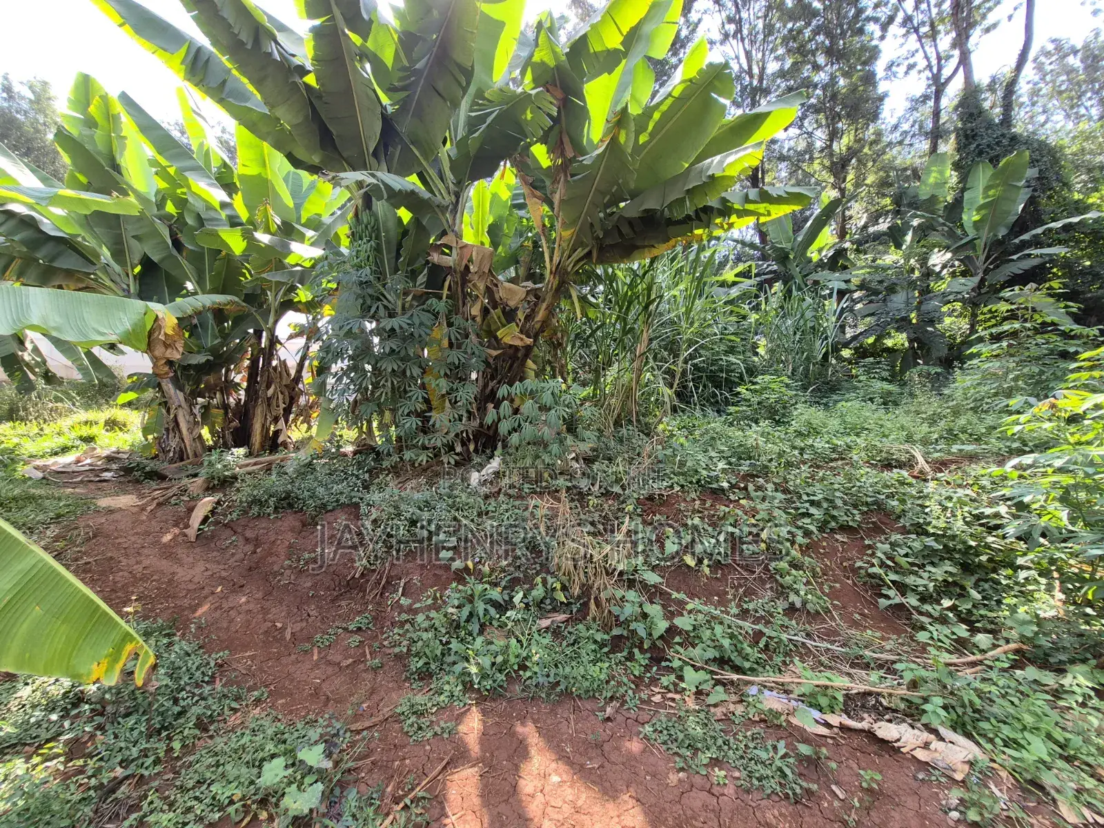 Half Acre Plot for Sale in Runda Near Makini School in Runda
