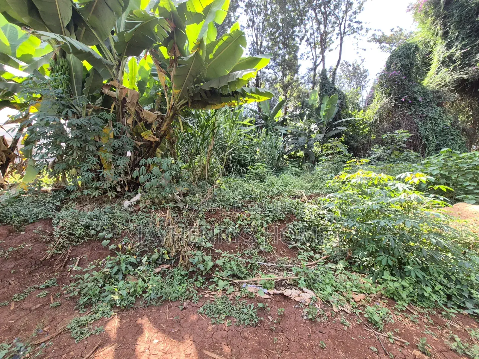 Half Acre Plot for Sale in Runda Near Makini School in Runda