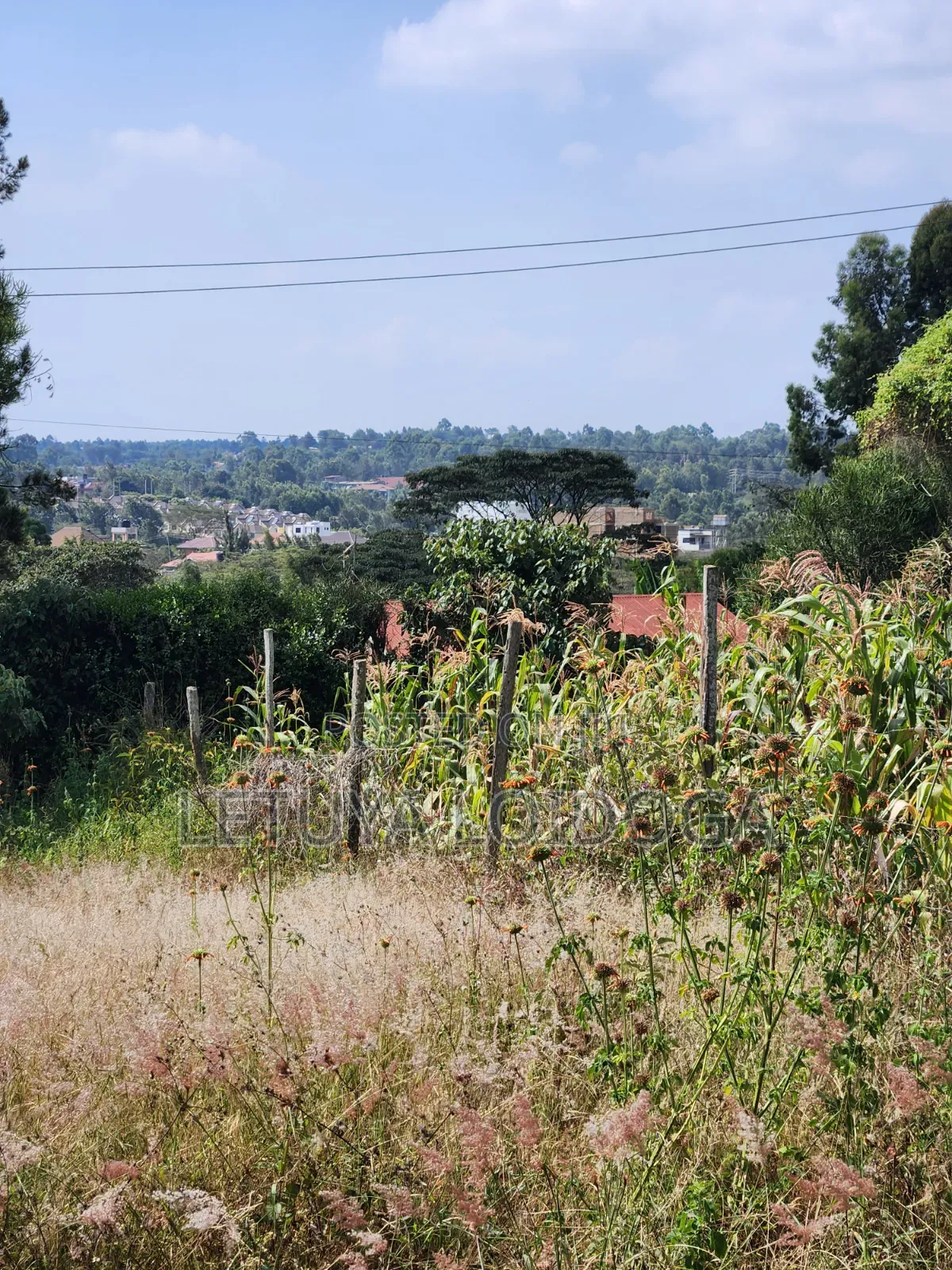 1⁄8 Acre Ngong-Kibiko(Milimani Road) in Kibiku