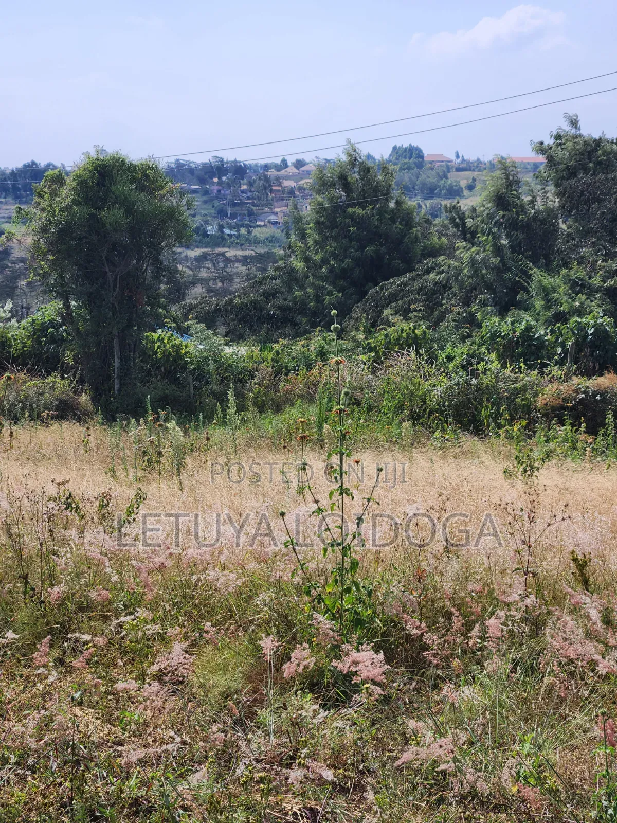 1⁄8 Acre Ngong-Kibiko(Milimani Road) in Kibiku