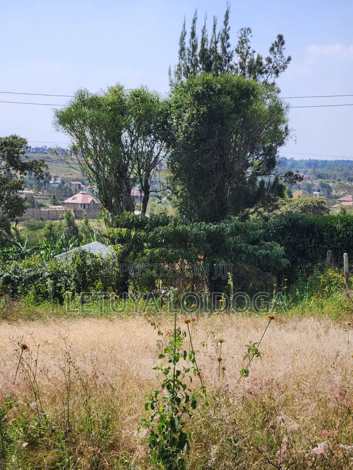 1⁄8 Acre Ngong-Kibiko(Milimani Road) in Kibiku