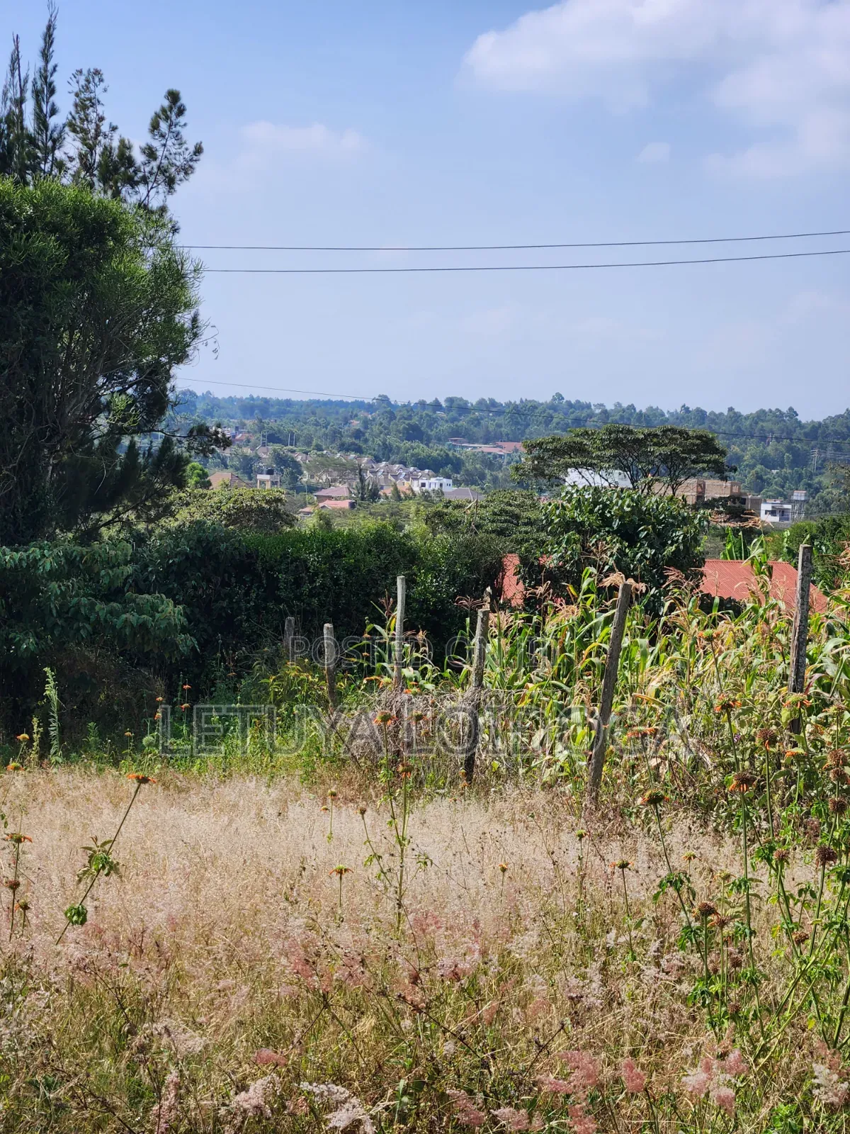 1⁄8 Acre Ngong-Kibiko(Milimani Road) in Kibiku