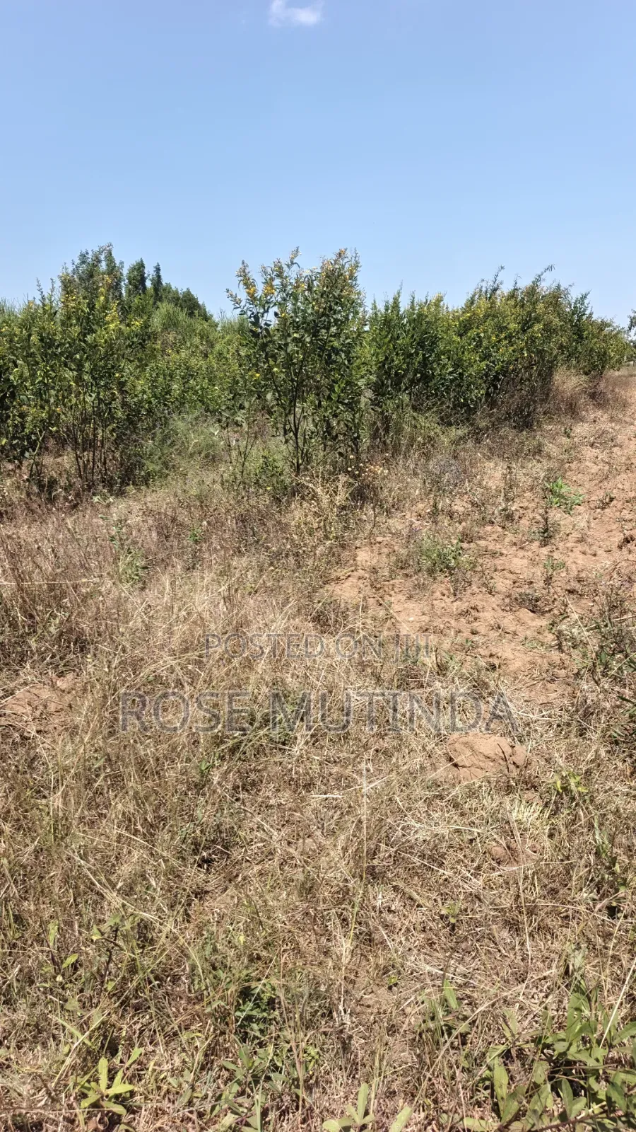 2acres at Wendano in Runda
