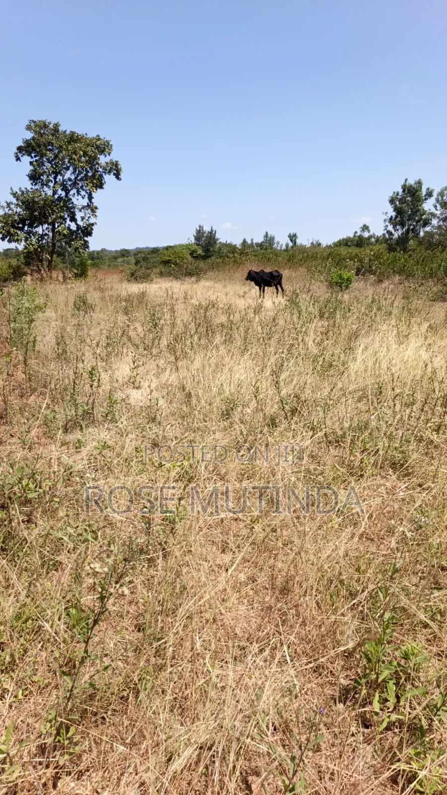 2acres at Wendano in Runda