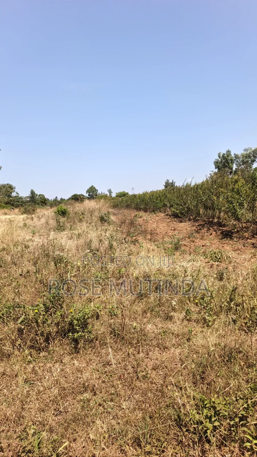 2acres at Wendano in Runda