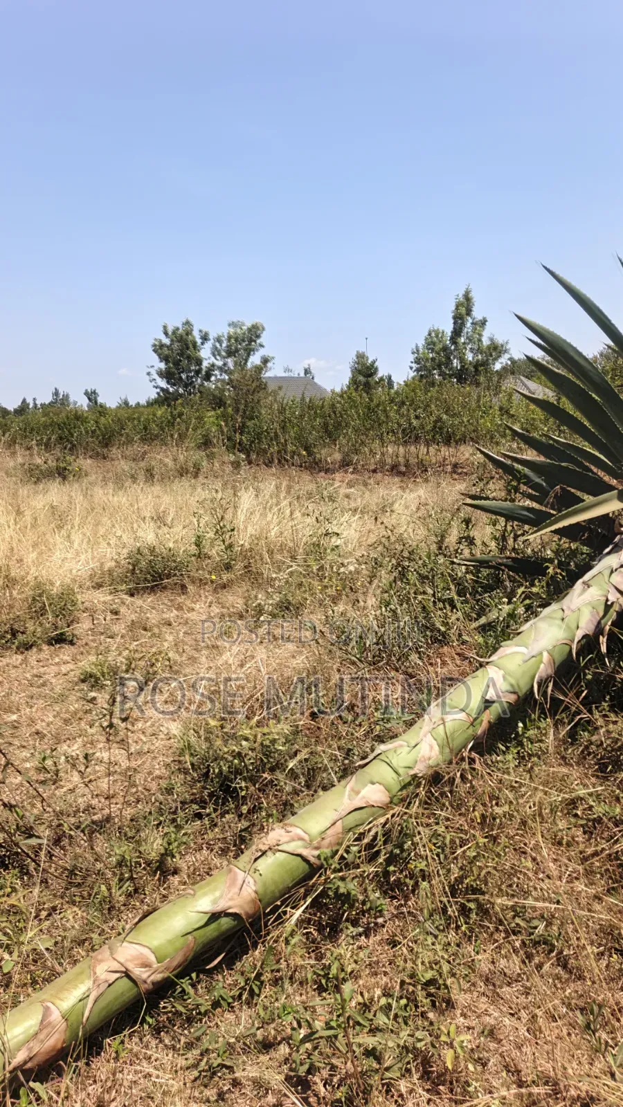 2acres at Wendano in Runda