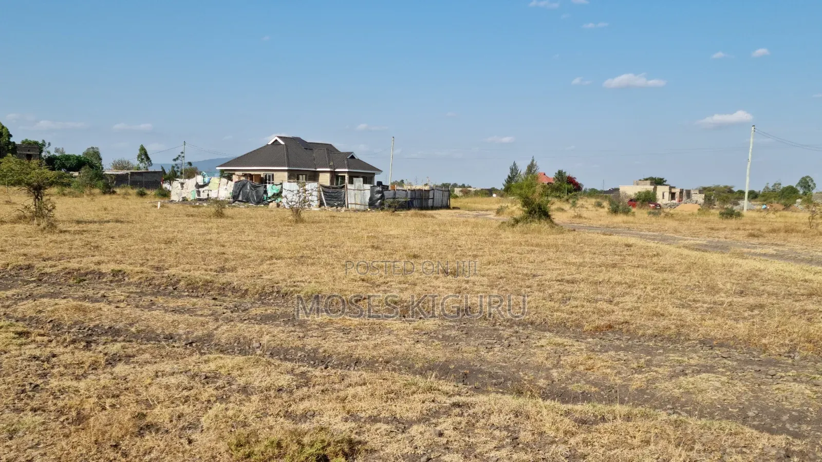 Jujafarm 50X100 Plots in Kalimoni