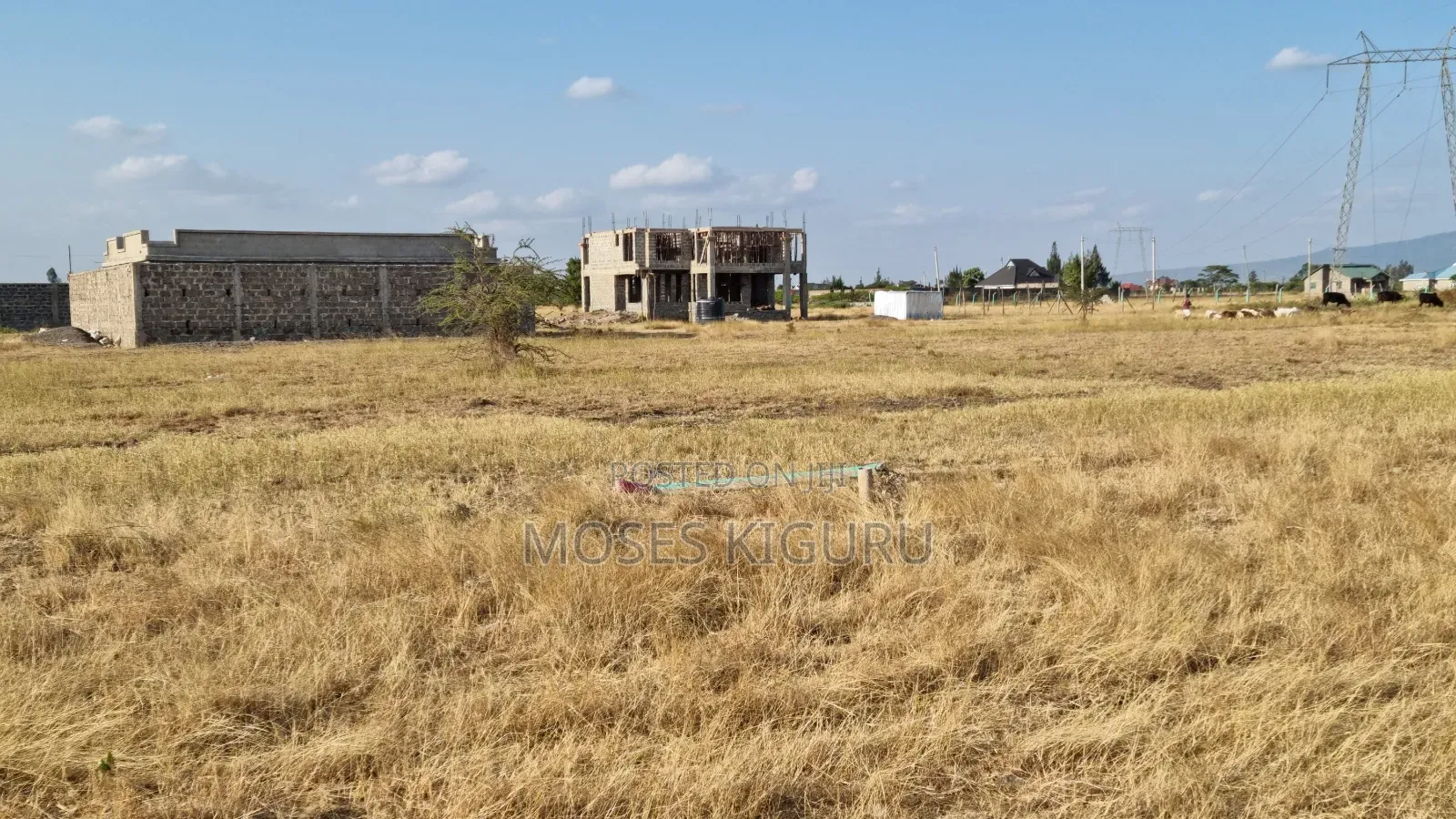 Jujafarm 50X100 Plots in Kalimoni