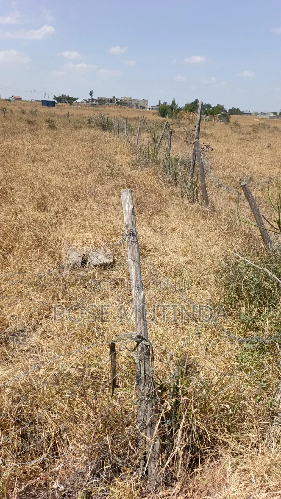 50by 100 at Malaa in Malaa