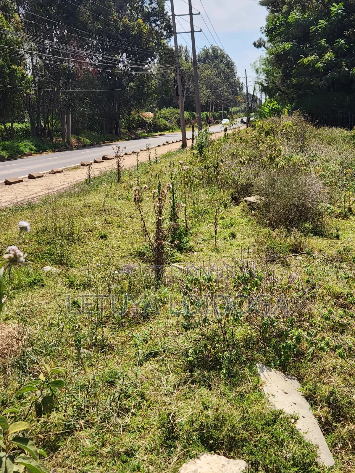 Prime 1-Acre Karen in Karen C