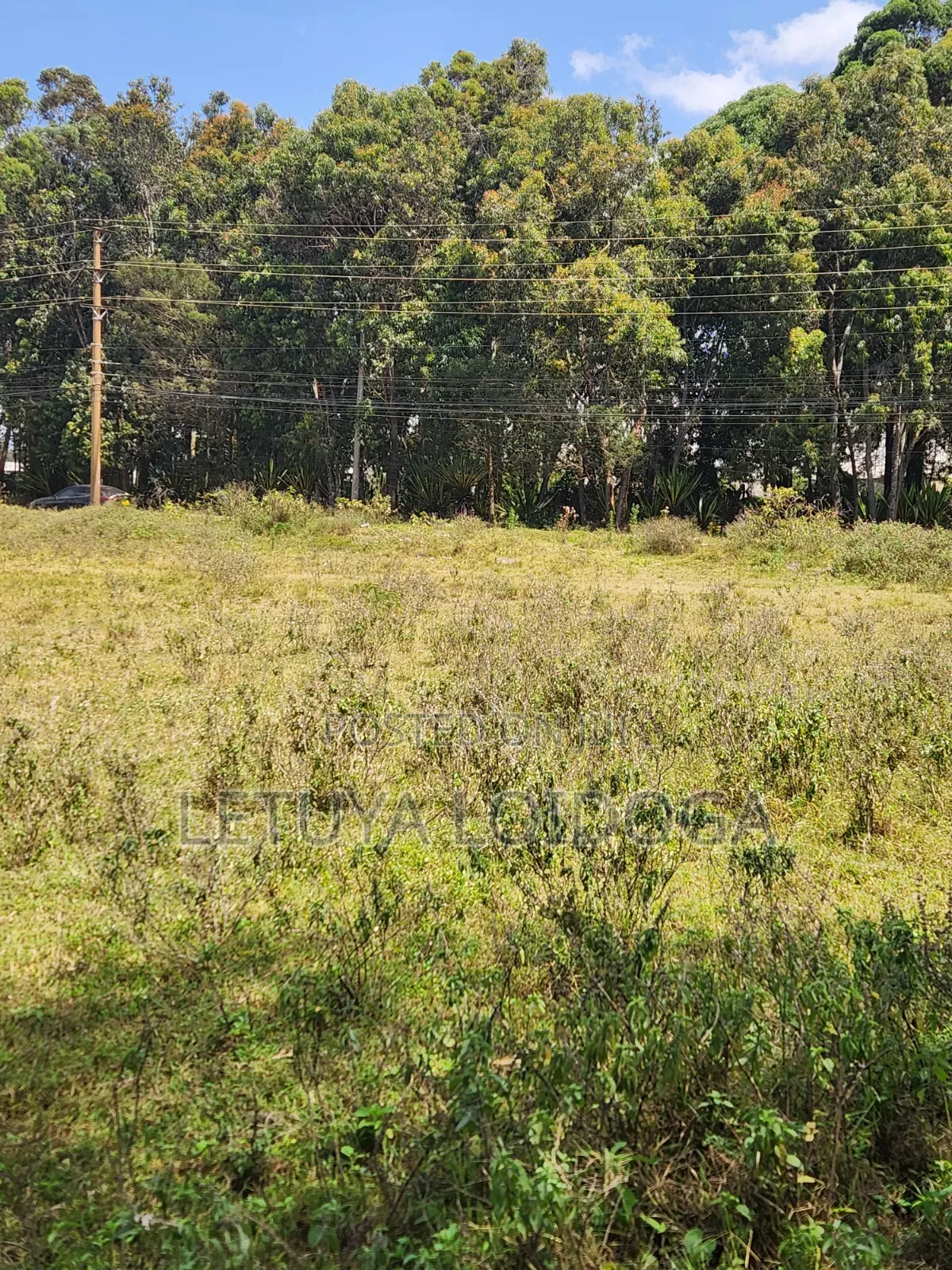 Prime 1-Acre Karen in Karen C