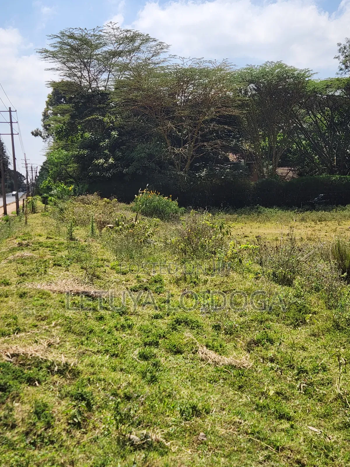 Prime 1-Acre Karen in Karen C