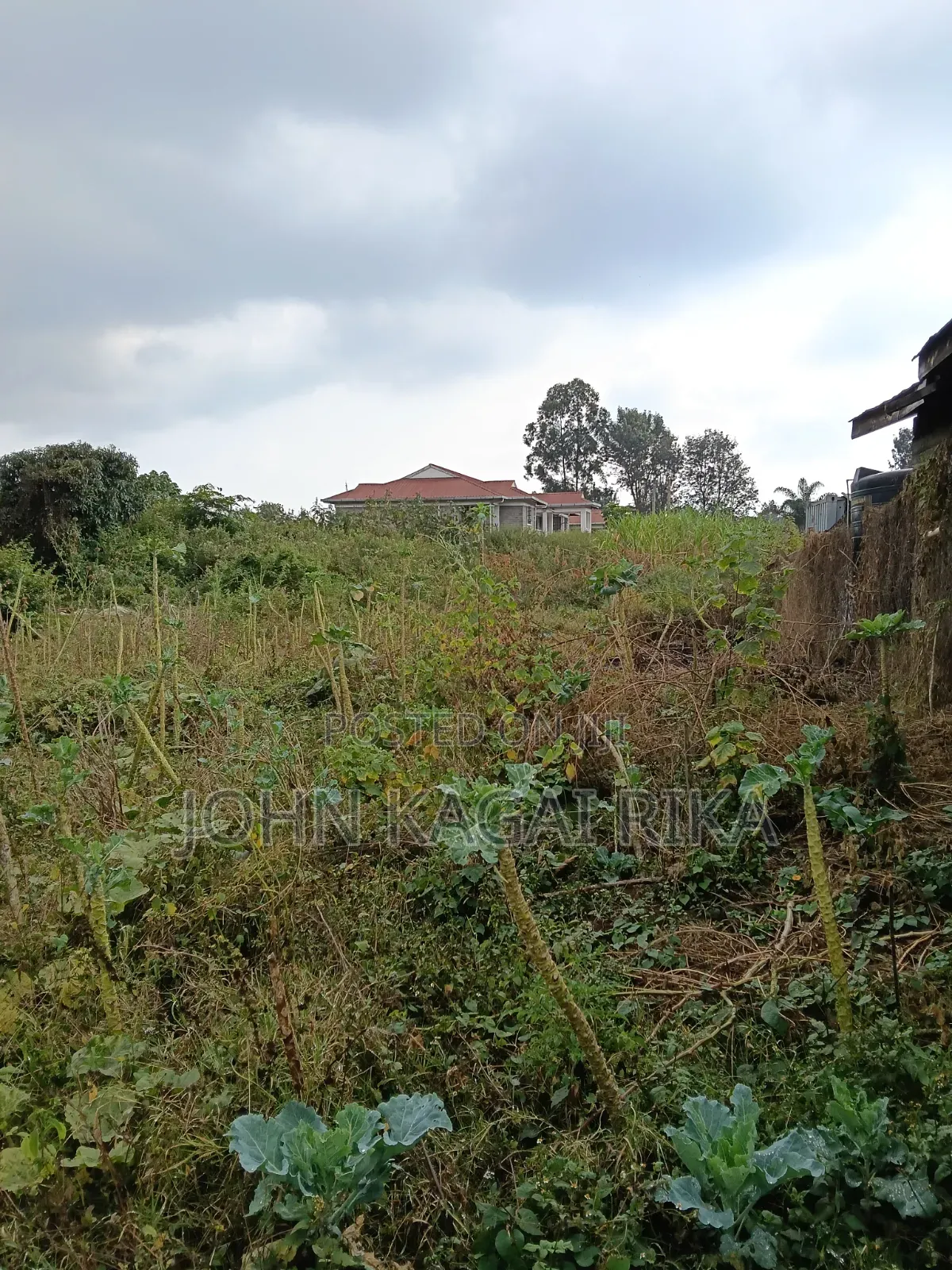 Ridgeways Half Acre Residential Plot in Ridgeways