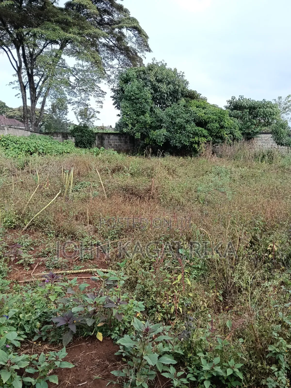 Ridgeways Half Acre Residential Plot in Ridgeways