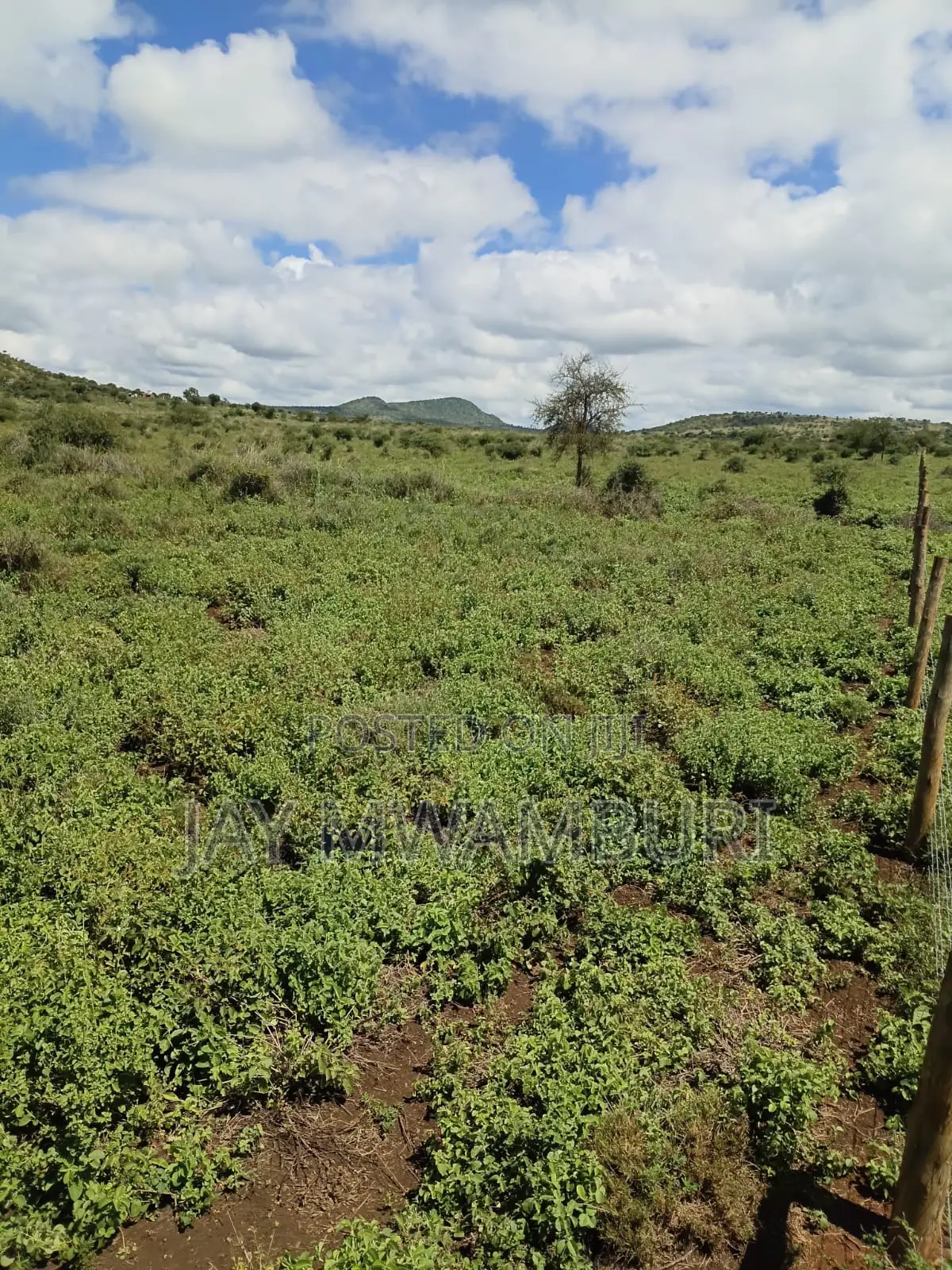 100 Acres Emali Makueni in Emali/Mulala