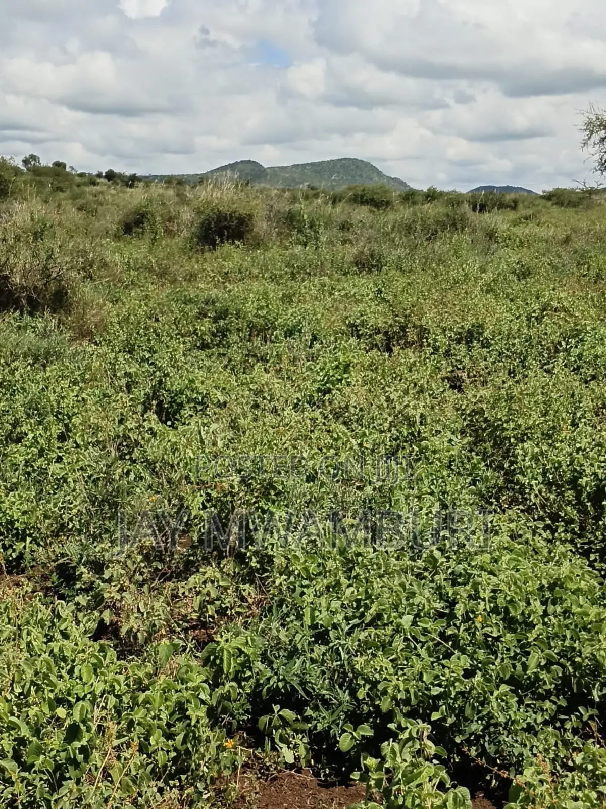 100 Acres Emali Makueni in Emali/Mulala
