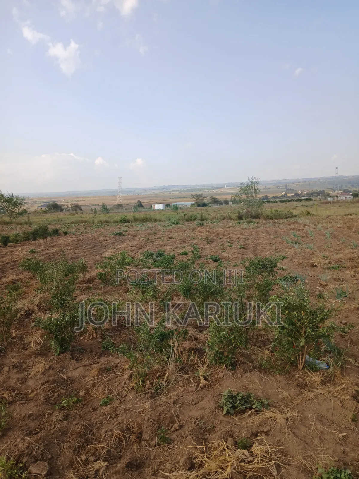 100x100 Plot in Naivasha Mirera Near Catholic Church and Adas BNBS in Mirera