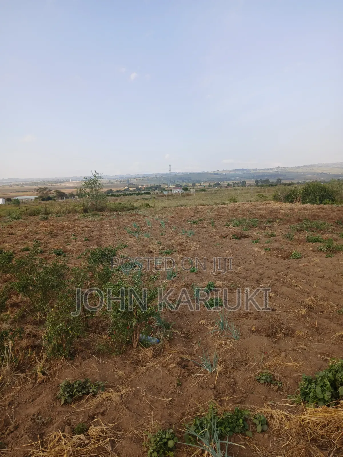 100x100 Plot in Naivasha Mirera Near Catholic Church and Adas BNBS in Mirera