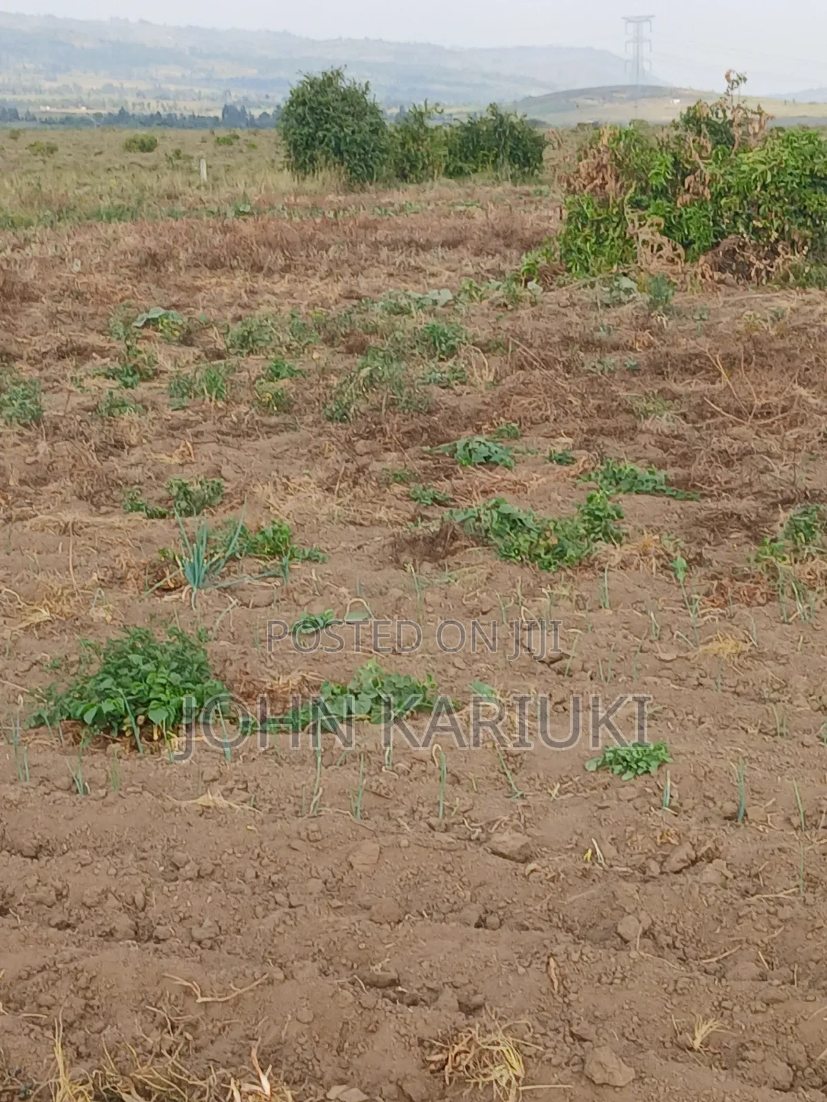 100x100 Plot in Naivasha Mirera Near Catholic Church and Adas BNBS in Mirera