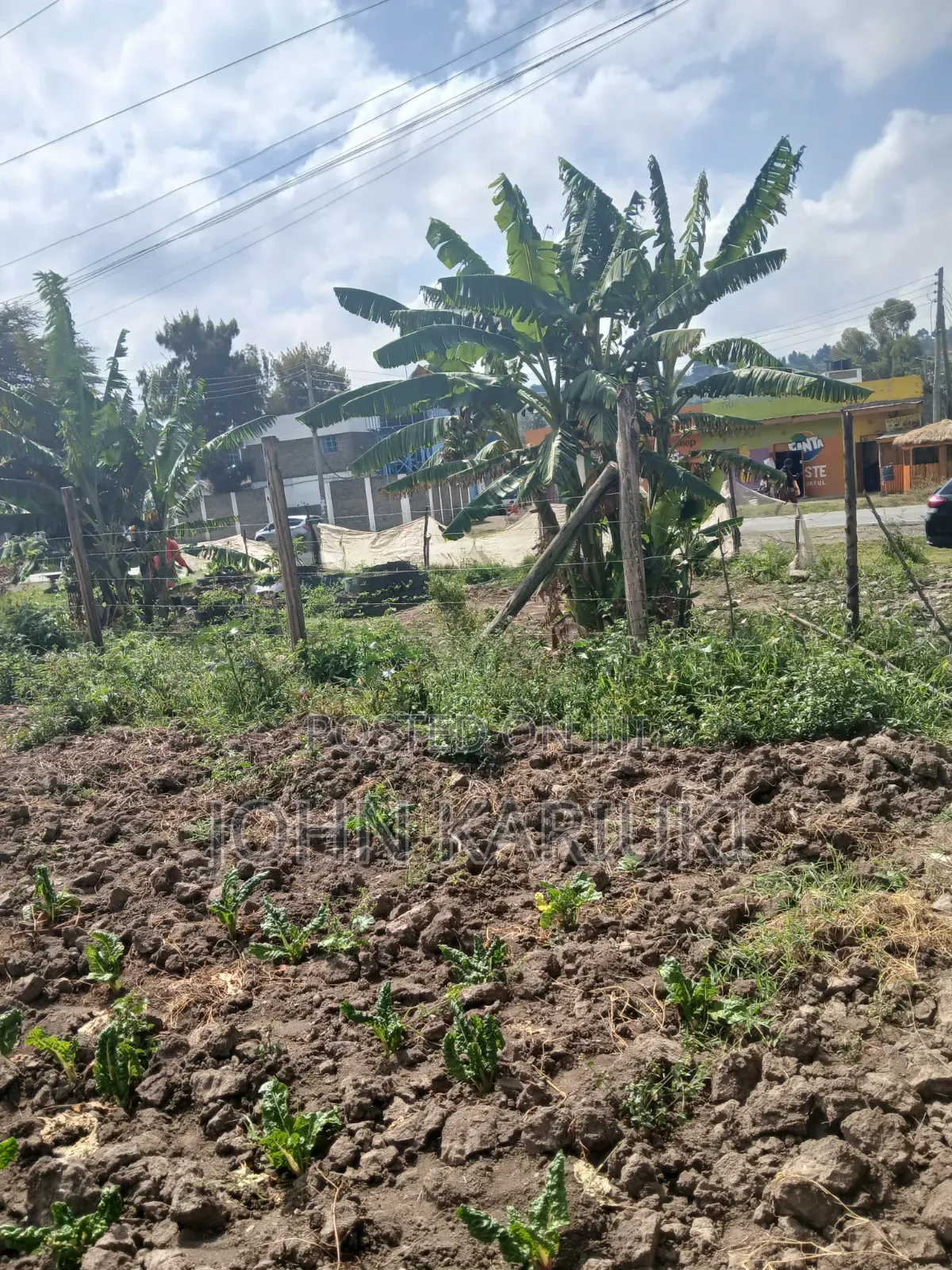 50x100 Plot in Naivasha Nyondia Touching the Tarmac Good for Develop in Karati