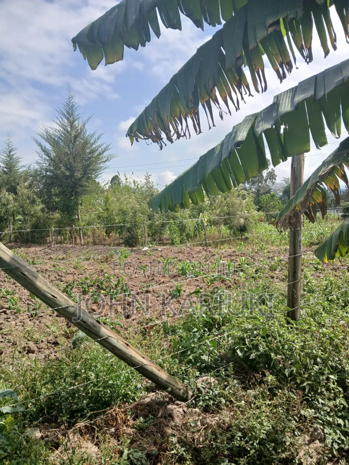 50x100 Plot in Naivasha Nyondia Touching the Tarmac Good for Develop in Karati