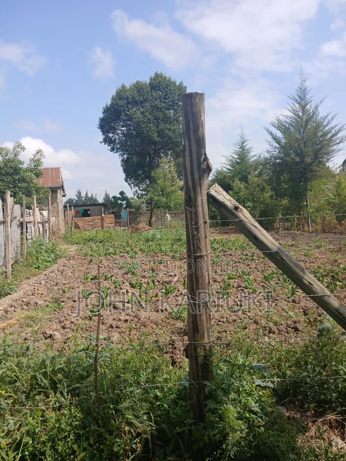 50x100 Plot in Naivasha Nyondia Touching the Tarmac Good for Develop in Karati