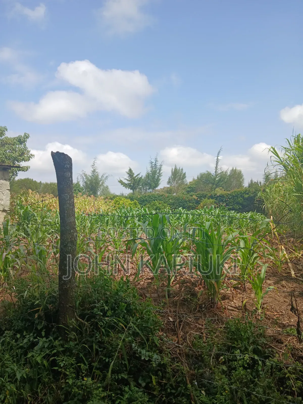 50x100 Plot in Naivasha Nyondia Touching the Tarmac Good for Develop in Karati