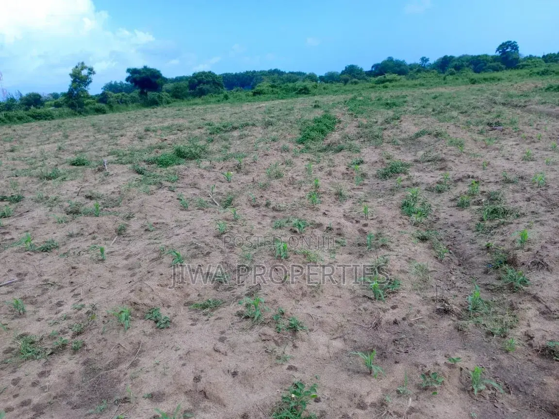 Prime 5 Acres for Sale _ Mnarani Kilifi in Mnarani