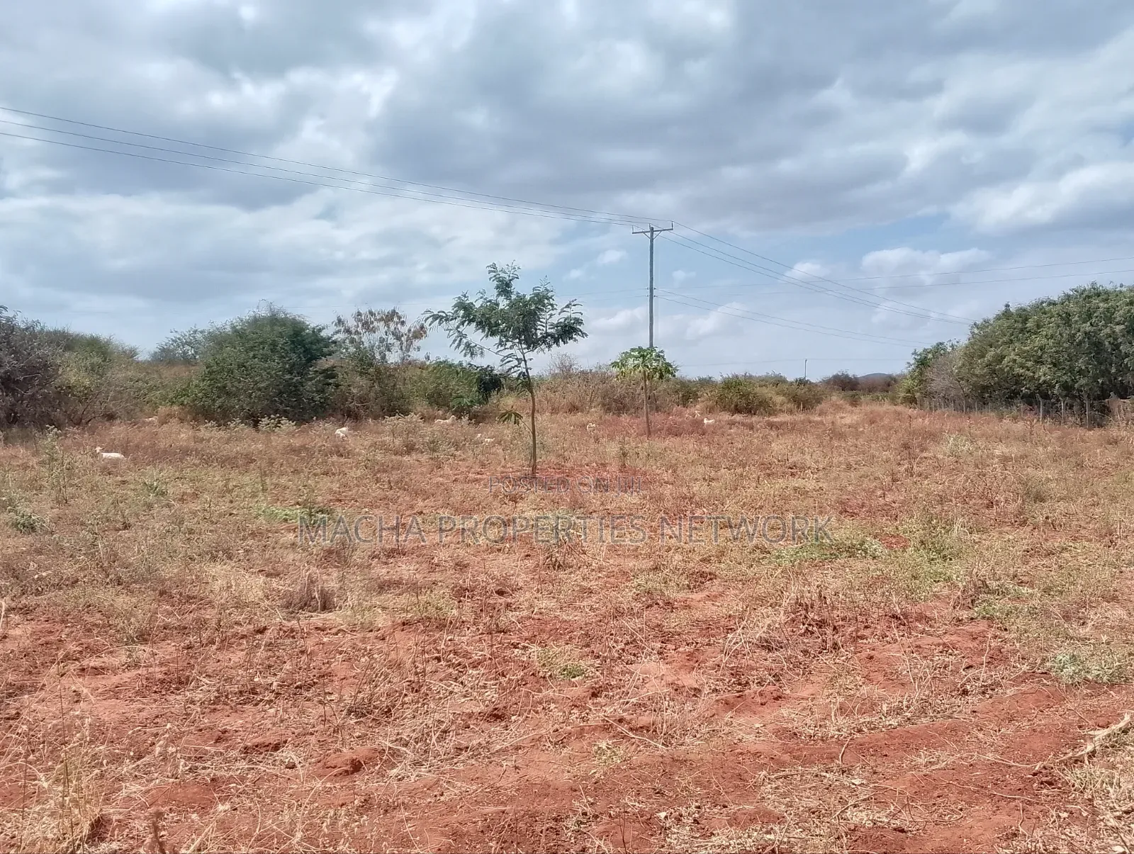 10 Acres Quick Sale Per Acre Masimba in Nguu/Masumba