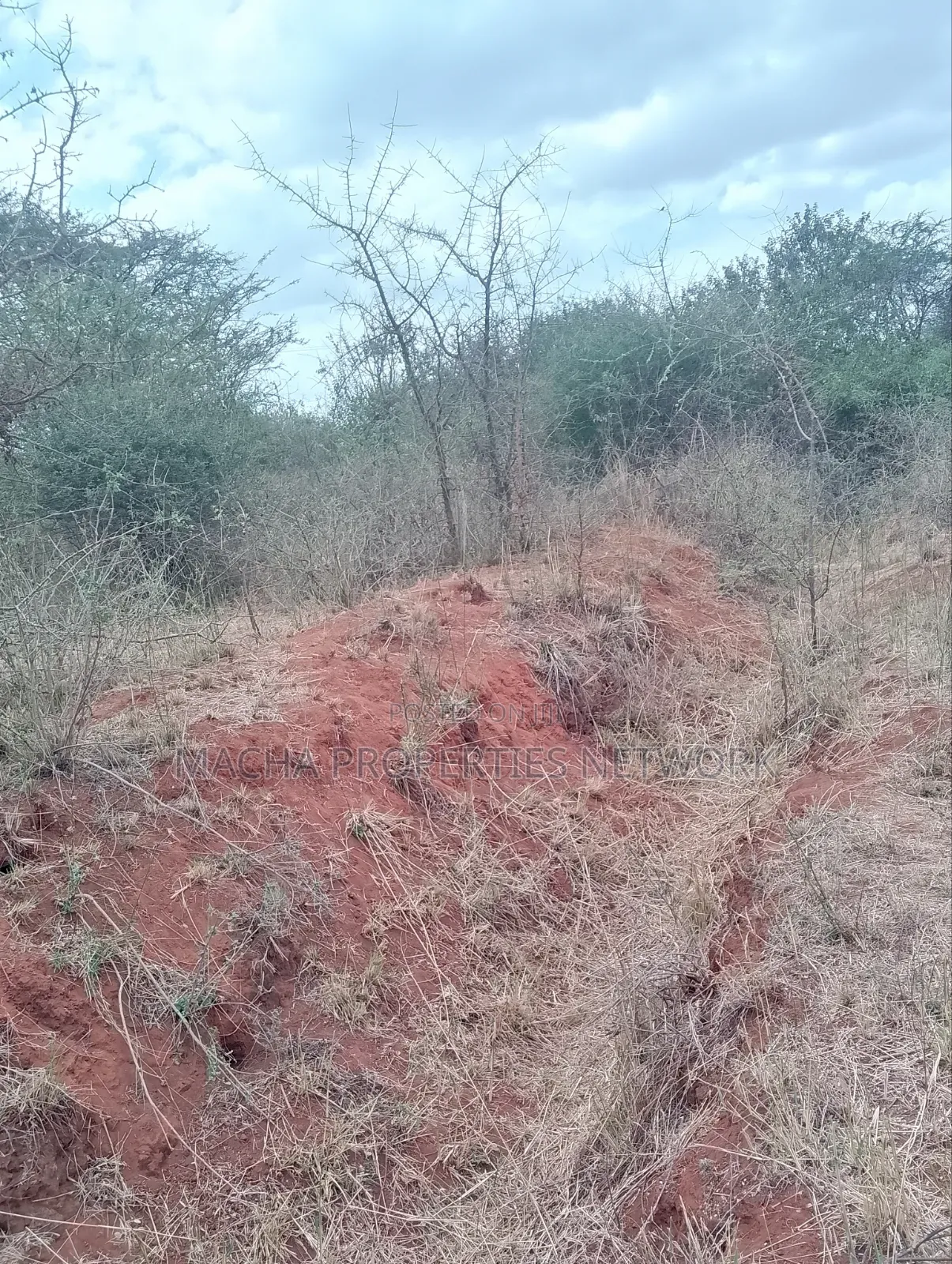 10 Acres Quick Sale Per Acre Masimba in Nguu/Masumba