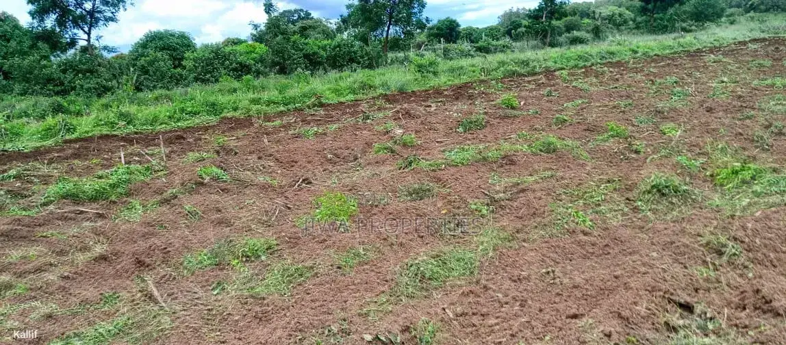 Prime 5 Acres for Sale _ Mnarani Kilifi in Mnarani